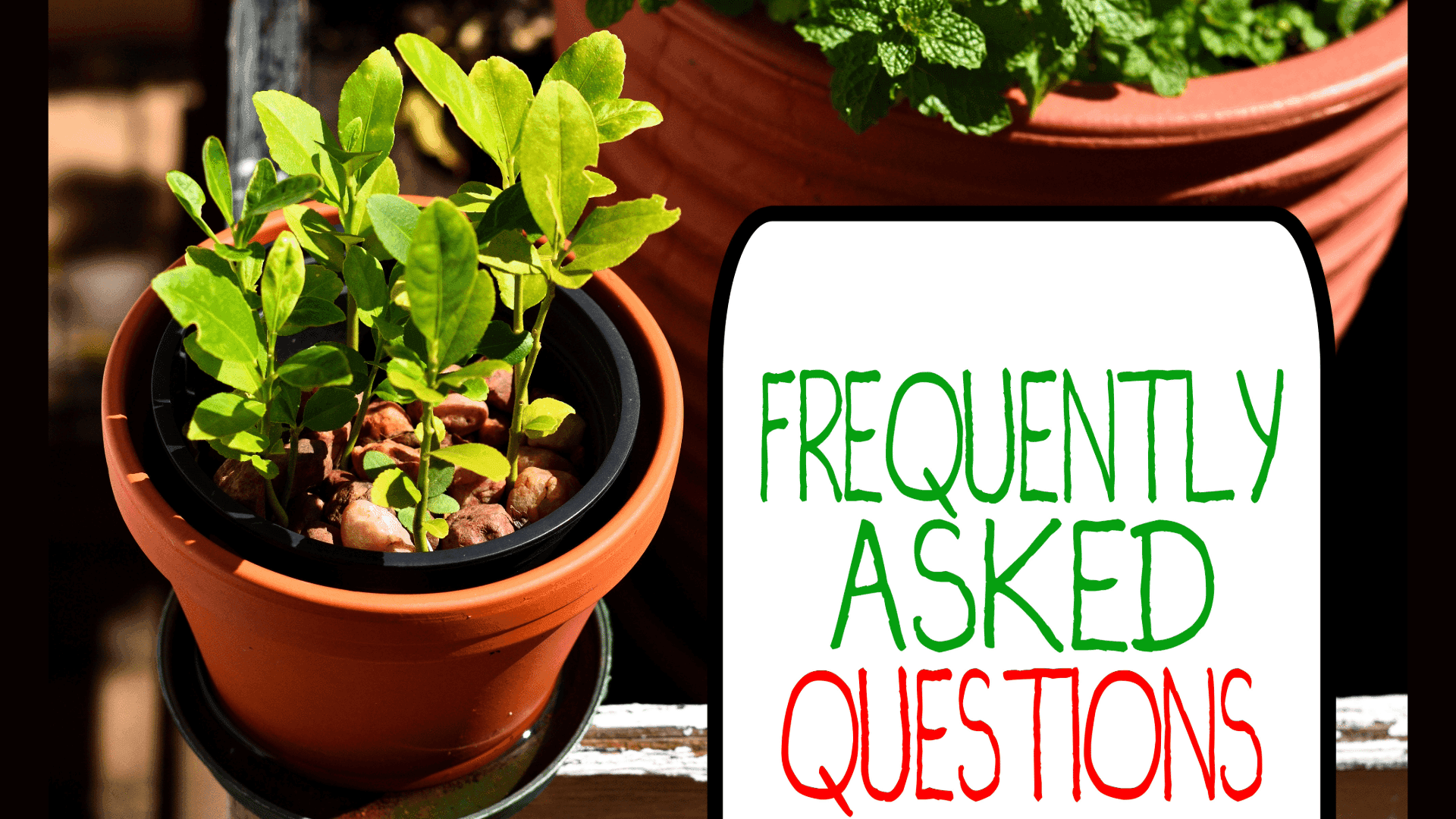 FAQs - Vriksh Valley