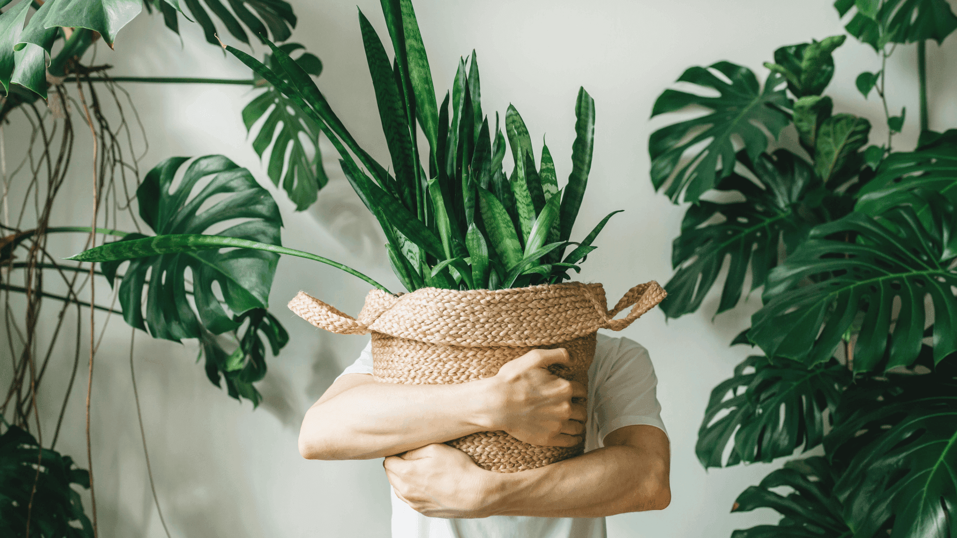 Privacy Policy - Vriksh Valley