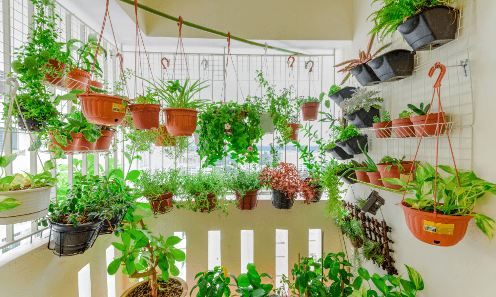 Your Guide To Choosing Houseplants for Every Room in Your Home