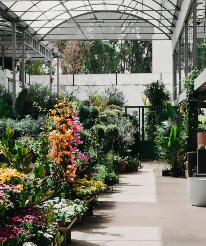 Garden Dreams - Create your own oasis