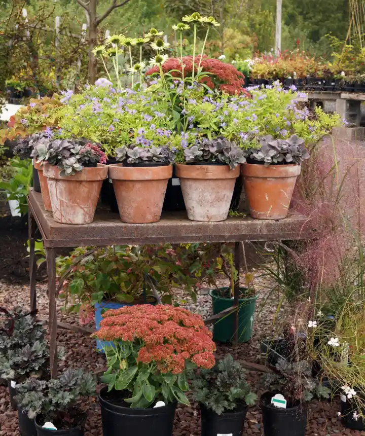 Green Living - Embrace sustainability