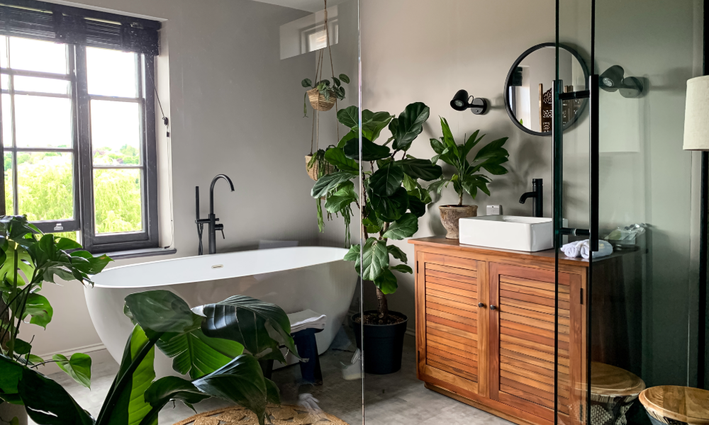 Bathroom plants