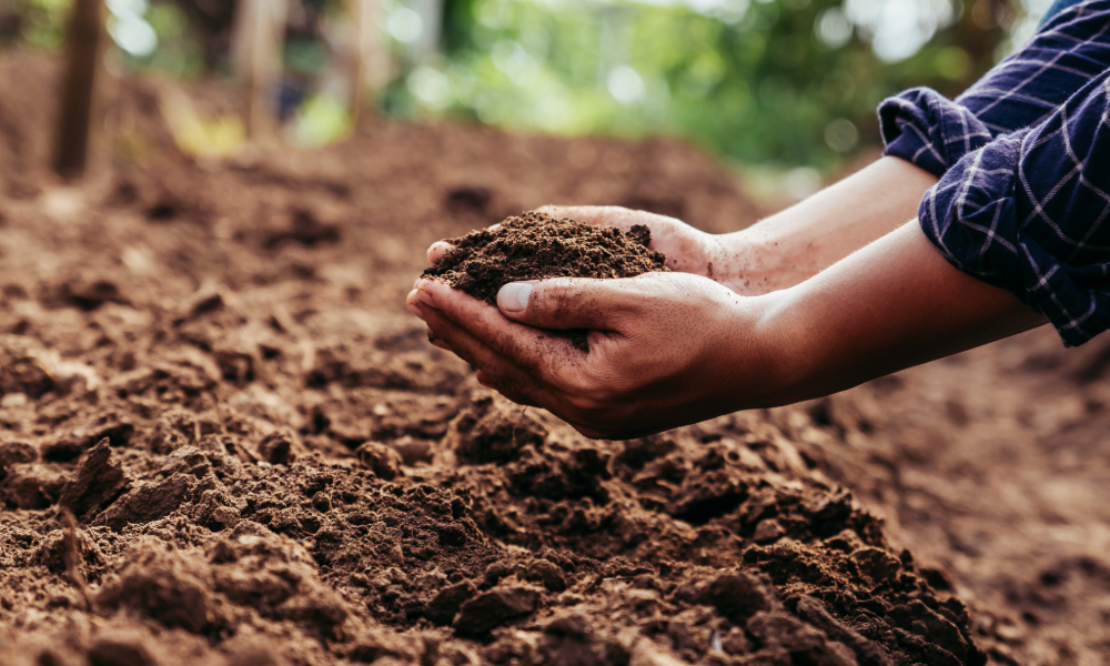 Soil health maintenance