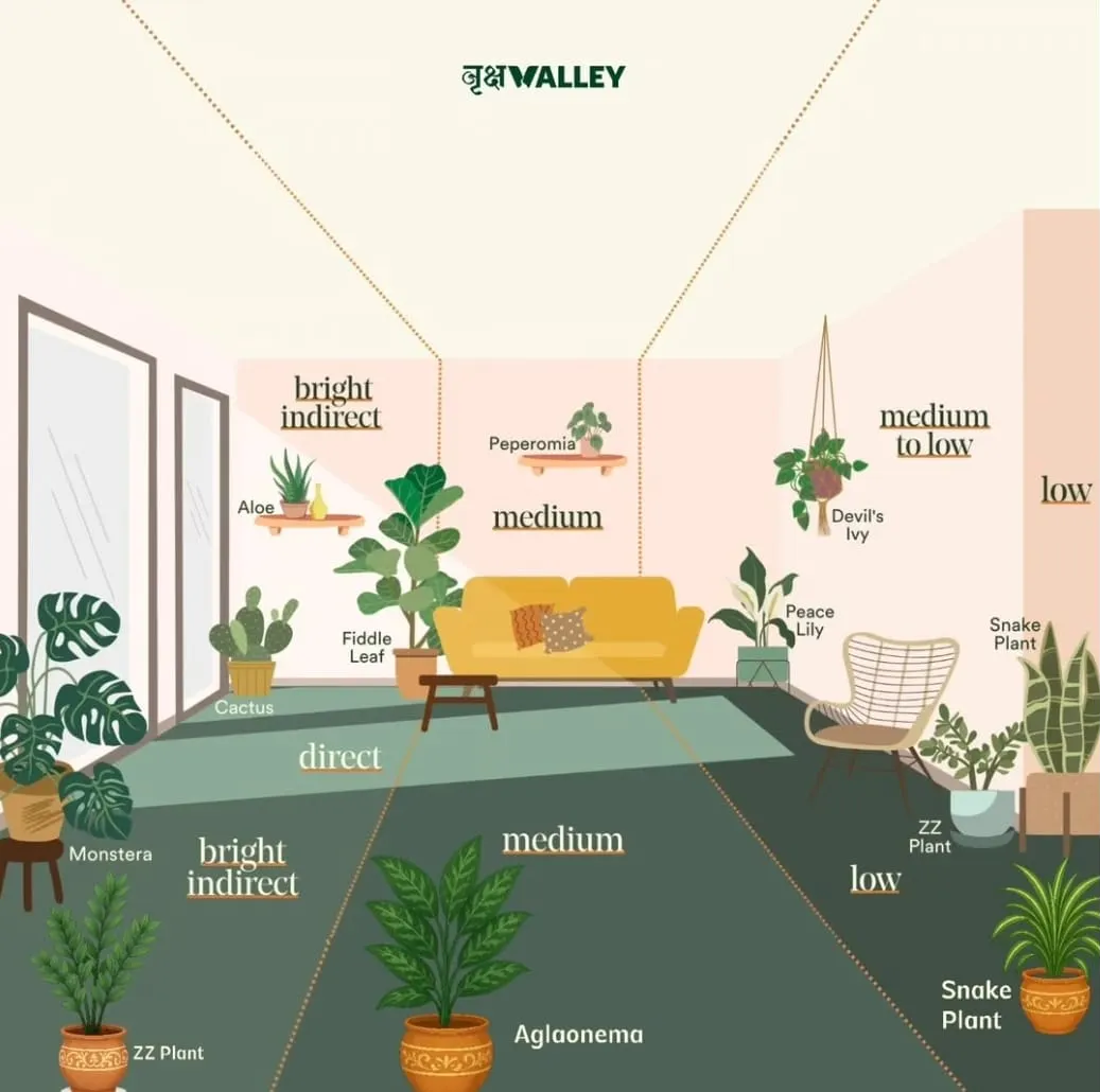 Assess light conditions