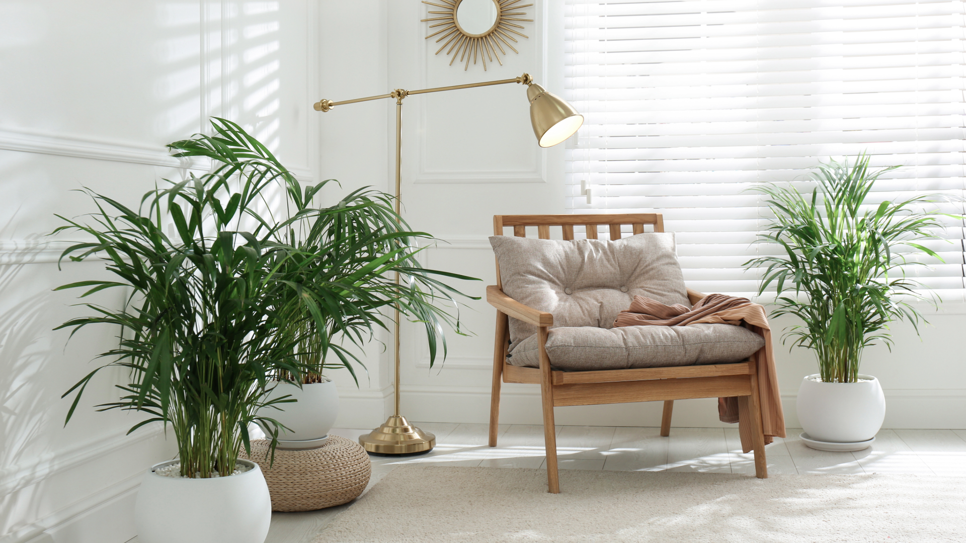 New Year celebration with plants